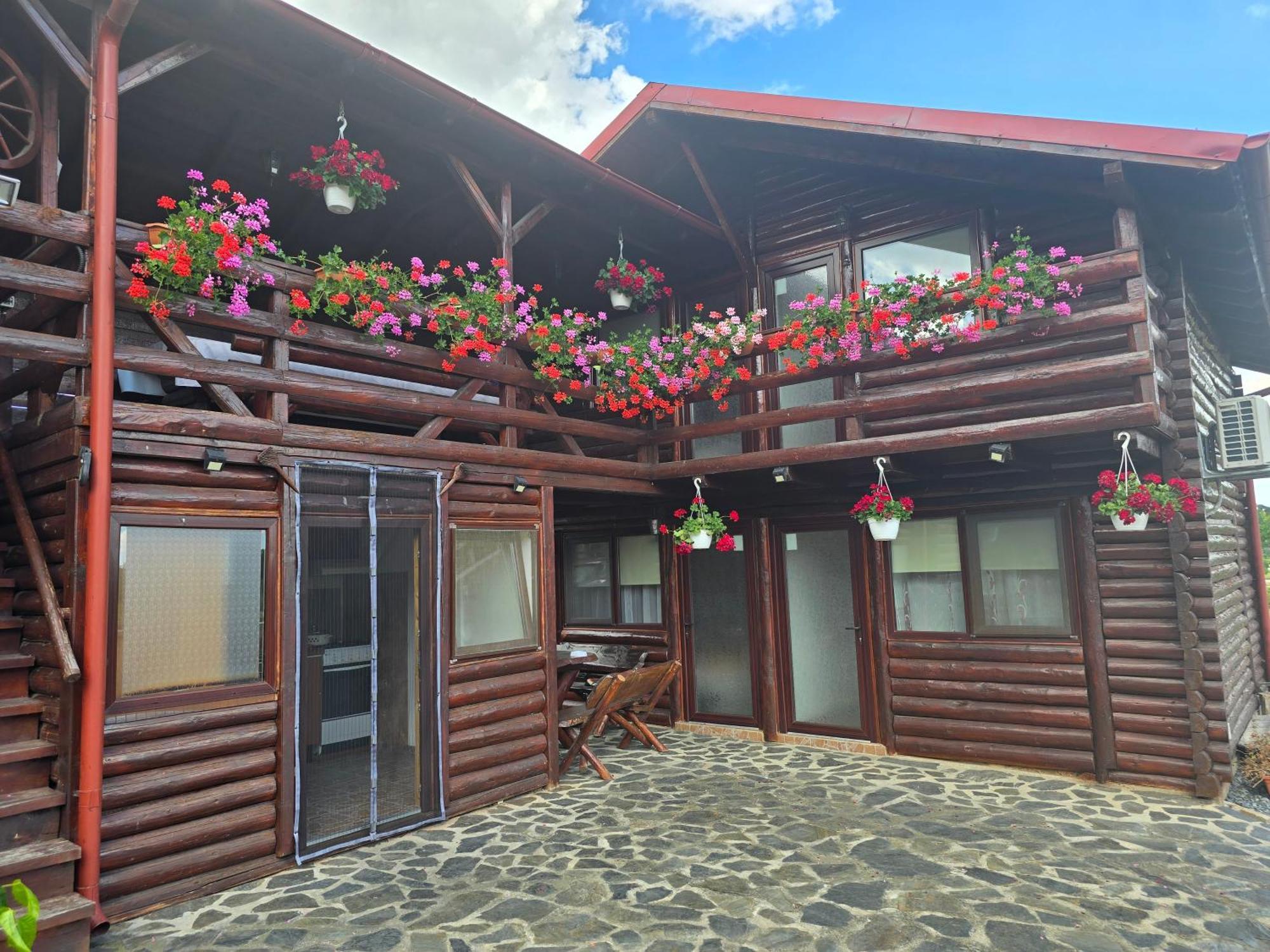 הוילה טורדה Casa Baciu מראה חיצוני תמונה