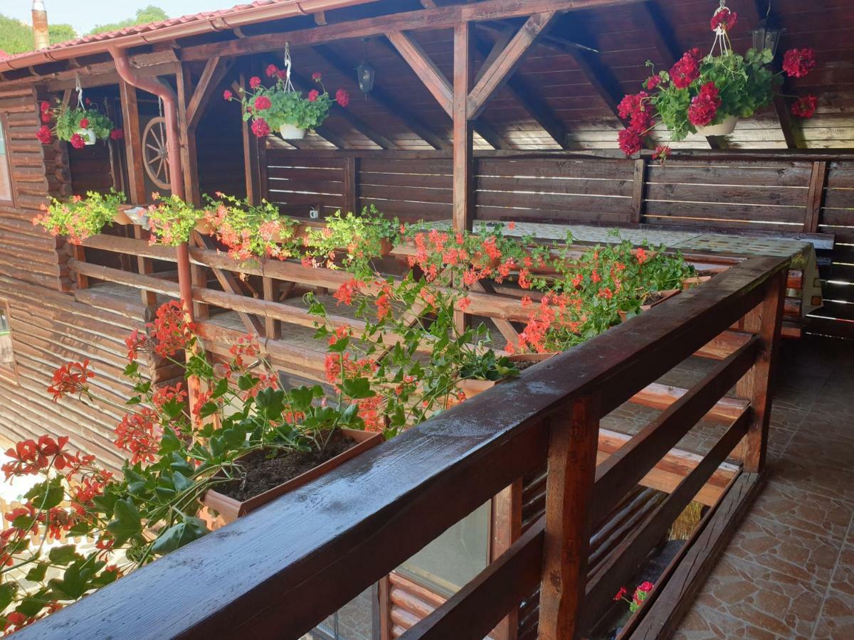 הוילה טורדה Casa Baciu מראה חיצוני תמונה